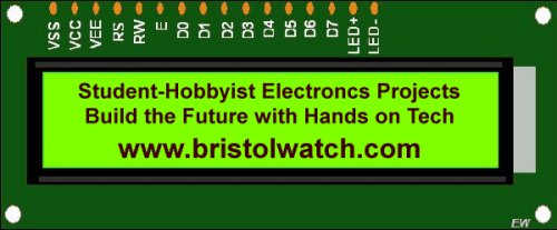 www.Bristolwatch.com banner.
